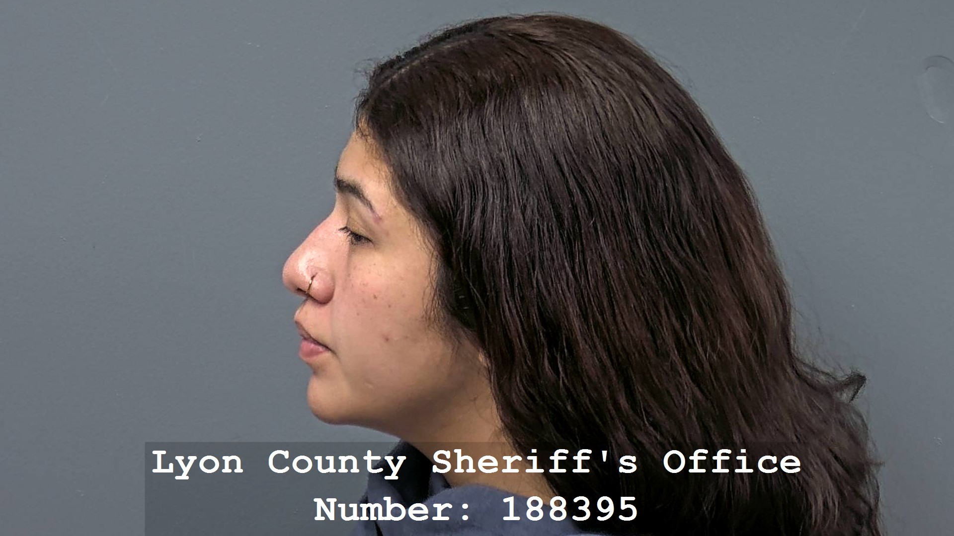 GISELLE SANDOVAL Profile Mugshot
